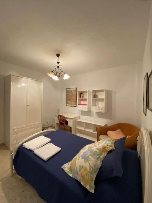 Piso En El Centro De Granada. Parking Opcional Apartment Екстериор снимка